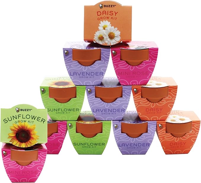 BUZZY Seeds Terracotta Mini Grow Pots, Flower Starter Kit, Assorted 12-Pack, Bright Series Collection Daisy, Lavender, Mini Rose, Sunflower Seeds, Gardening Gift, Party Favors, Weddings, Showers