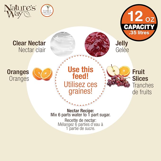Nature's Way OFP1 All-in-One Oriole Buffet Bird Feeder, Orange