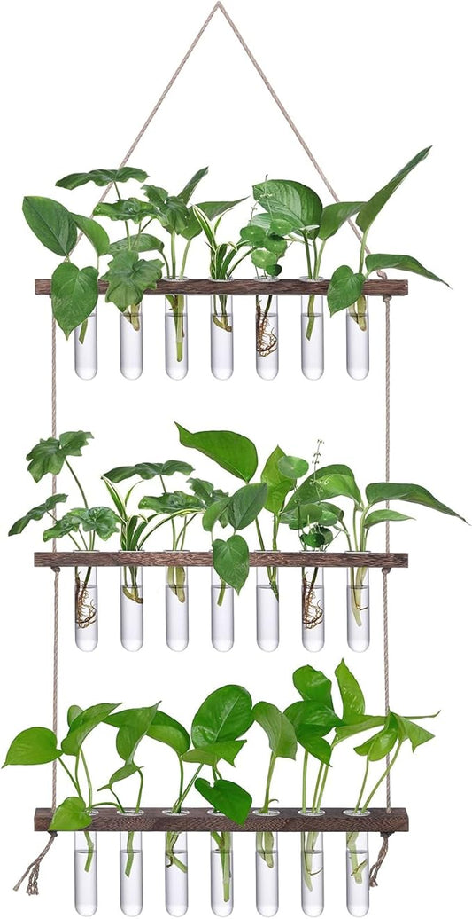 XXXFLOWER Wall Hanging Propagation Station with Wooden Stand 21 Glass Test Tubes 3 Tiers Planters Wall Terrarium for Home Office Plant Hanger Flower Vases Wall Decor Hydroponic Cuttings