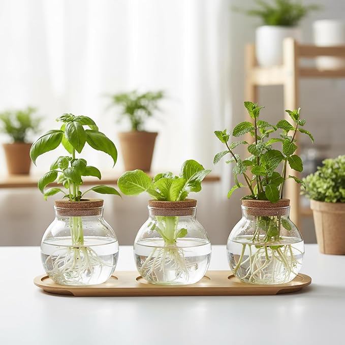 Plant Propagation Station, Glass Propagation Vases with Lid and Wooden Stand, Prop Drops Terrarium Jar for Hydroponics Home Garden Office Decor, 3 Bulb Vase