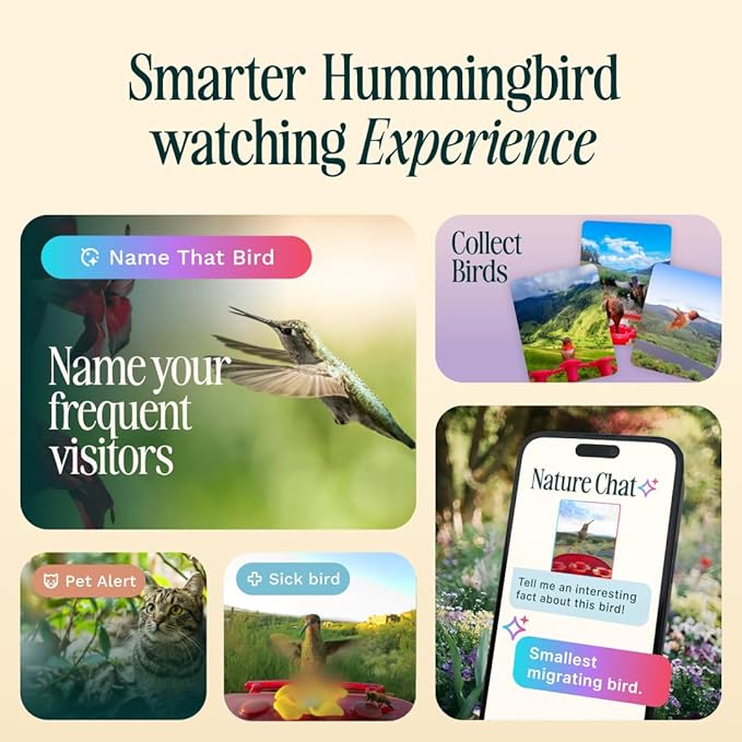 Birdbuddy Smart Non-Solar Pro Hummingbird Feeder with Camera - AI Bird Identification, 2K Video, 5MP Photos, Outdoor Hanging, Gift for Bird Watching (Pack of 2)