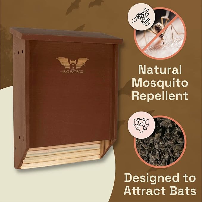 BIGBATBOX Wooden Large Bat House for Outdoors - 2 Chamber, Brown, Fits Up to 75 - Proven Backyard Bat Box Kit Design for Attraction