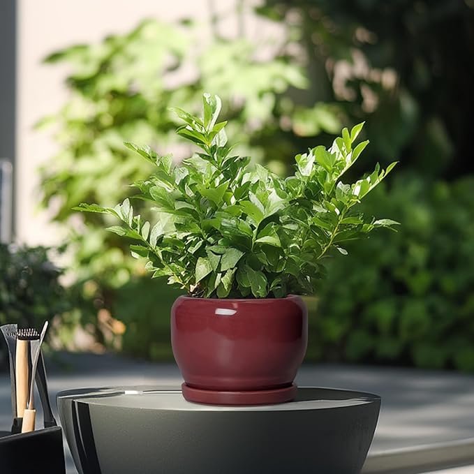 SQOWL 6 Inch Plant Pot - Ceramic Planter for Indoor Plants Outdoor, Round Planter with Drainage Hole and Saucer, Decorative Modern Small Flower Pots, Room Decor, Gifts for Plant Lovers, Red