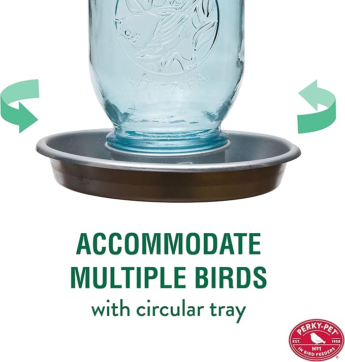 Perky-Pet 1 Mason Jar Wild Bird Waterer 783, Blue
