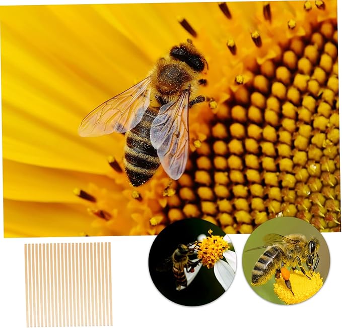 VANZACK 500pcs Beehive Straw Bee Tubes Easy Install Move Nesting Tubes for Beekeeping