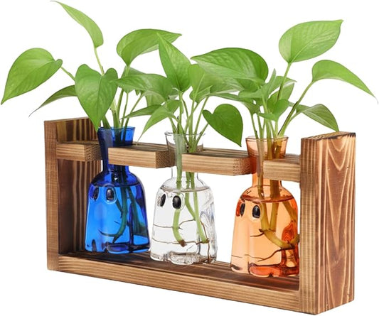 Mimorou Plant Propagation Stations Plant Terrarium with Wooden Stand Hydroponics Glass Vase Planter for Home Office Garden Table Decoration(Ghost)