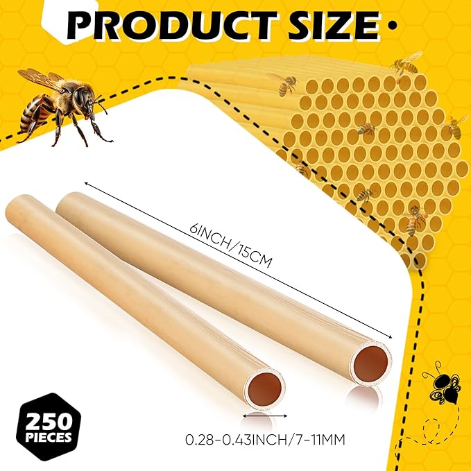 Tinideya 250 Pcs Phragmite Reed Mason Bee Tubes Set Bee Hotel Nest Box Pollinator Bee Box for Mason Bee Houses Natural Phragmite Bee Nest Bees Supplies Refill Your Mason Bee House Bee Hive