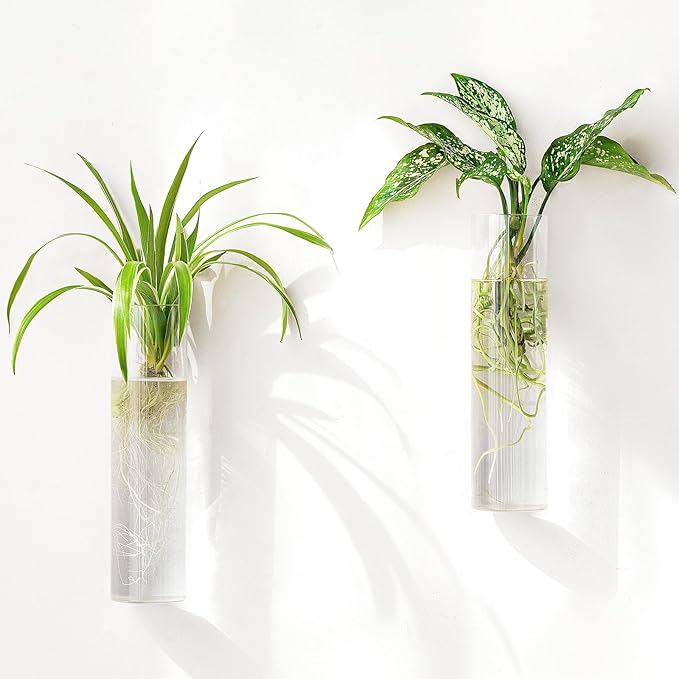 Mkono Propagation Station Wall Planter Hanging Glass Tubes Flower Vase for Hydroponics Plants, Bathroom, Home Office Living Room Decor Gift, Cylinder Set of 2