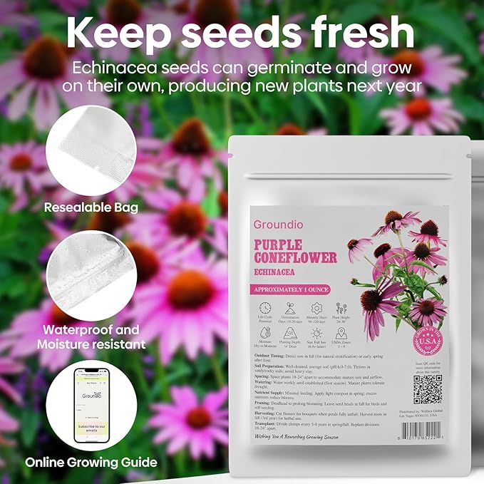 Purple Coneflower Seeds 1 OZ, Perennial Open Pollinated Non-GMO Echinacea Seeds Grown in The USA, Cone Flower Seed for Planting, USDA 3-9