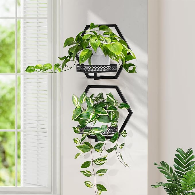 3 Packs Wall Planters for Indoor Plants, 7.9inch Metal Wall Plant Holder Hanger Wall Decor, Wall-Mounted Hanging Planters Window Plant Shelves Outdoor (Black Openwork)