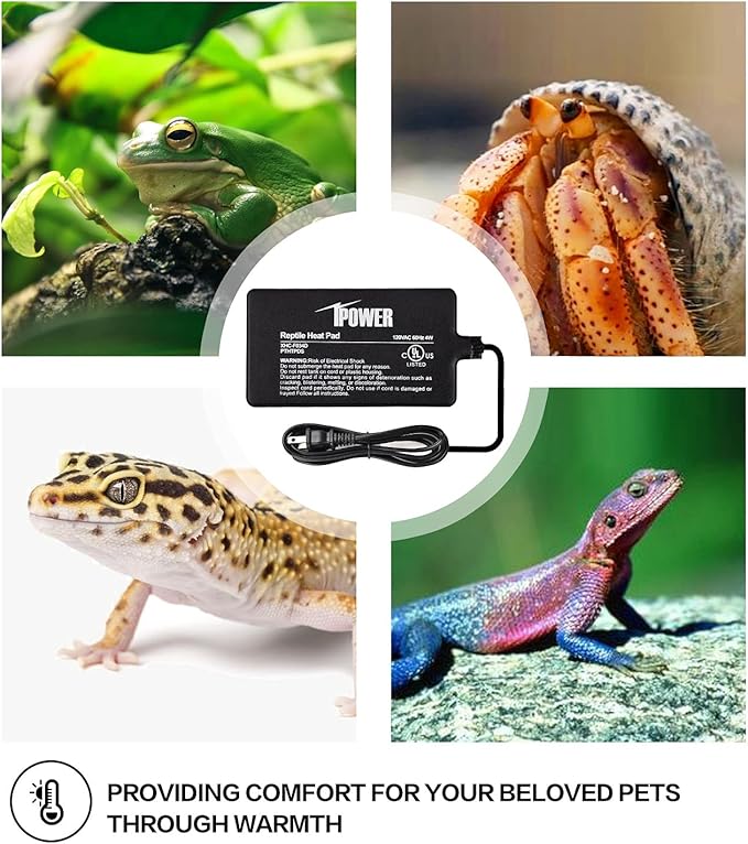 iPower 4X7 Inch Reptile Heat Pad Under Tank Heater Terrarium Warmer Heating Mat and Digital Thermostat Controller for Turtles Lizards Frogs and Other Small Animals