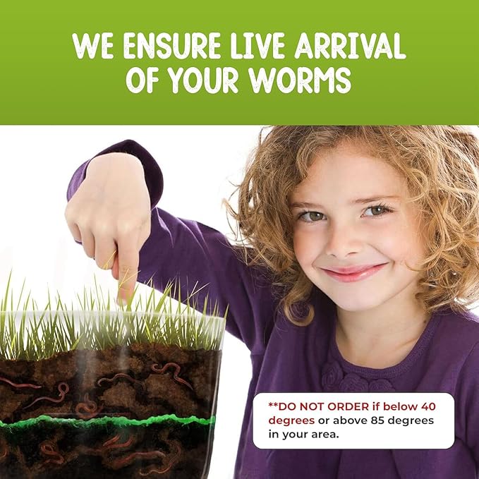 Worm Farm for Kids Shipped with Live Worms and Food - Observation Worm Farm Kit with Ecosystem, Soil, Mixing Sand, Magnifying Glass & More