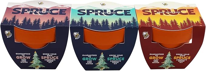 BUZZY Seeds Spruce Tree 12-Pack Mini Terracotta Grow Kits – Sustainable Tree Growing Kit, Includes Everything to Sprout Evergreens, Perfect for Earth Day, Party Favors, or Corporate Gifts
