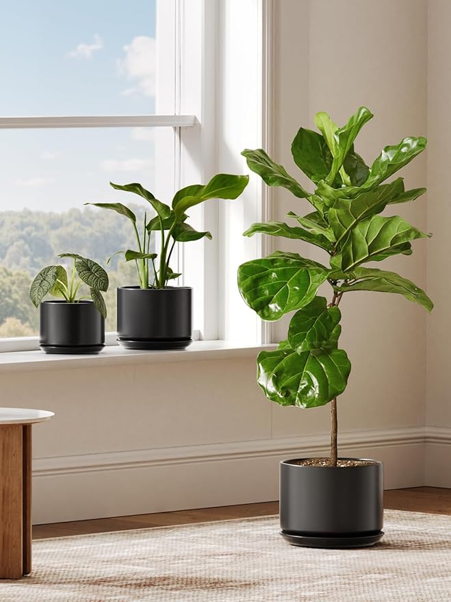 LE TAUCI Ceramic Plant Pots, Set of 2, 8+10 Inch Plant Pots Indoor with Drainage Hole & Saucer, Sturdy Planters for Indoor Plants, Modern Minimalist Decor for Snake Plant, Monstera, Black