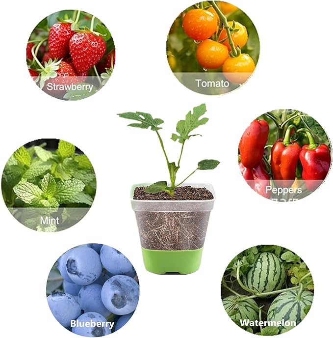 6pcs Seed Starter Tray, Silicone Seeding Starter with Pop-Out Cells, Plant Growing Trays for Seed Starter, Indoor Seeding Planting Growing (6 PCS Green)