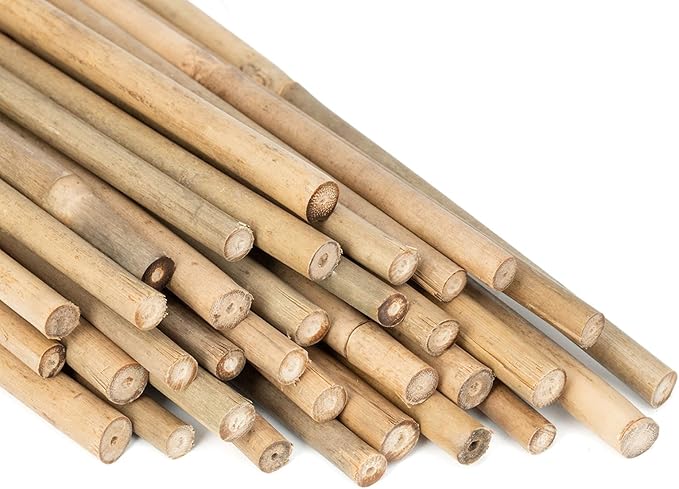 Plant Stakes Natural Garden Bamboo Sticks for Indoor and Outdoor, 20pcs for Tomatoes, Beans, Potted Plants - 18 inches