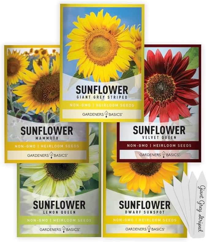Sunflower Growing Kit – 5 Giant & Colorful Sunflowers Gifts for Women – Non-GMO Heirloom Seeds, Complete Indoor & Outdoor Sunflower Garden Grow Kit, Easy to Grow & Perfect for Pollinators