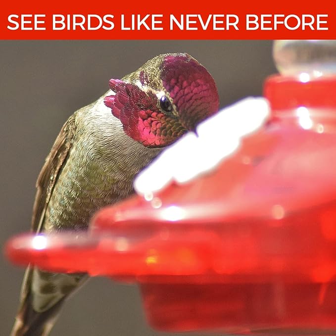 Large Leak Proof Window Hummingbird Feeders for Outdoors Hanging - Wasp and Bee Proof - Window Hummingbird Feeder for Outdoor - Window Mount