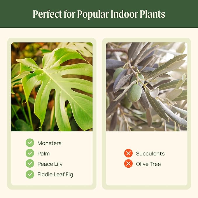 15 Inch Self-Watering Planter for Indoor Plants – Large Modern Plant Pot with Built-In Water Reservoir, Ideal for Monstera, Fiddle Leaf Fig, Palms & Peace Lily, Without Trellis, Twin Pack, Sage Green