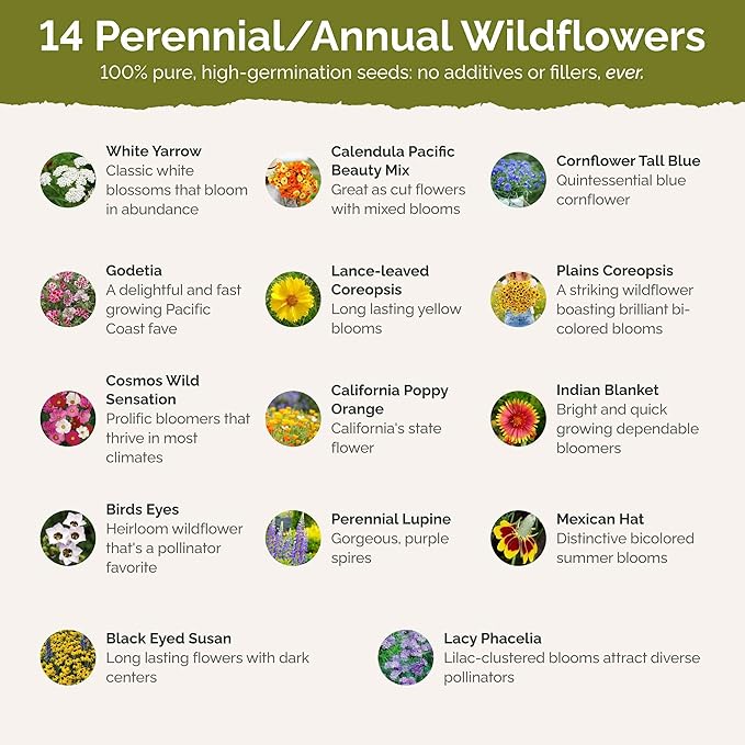 Eden Brothers Bird & Butterfly Wildflower Mixed Seeds for Planting, 1/4 lb, 120,000+ Seeds with Cosmos, Indian Blanket | Attracts Pollinators, Plant in Spring or Fall, Zones 3, 4, 5, 6, 7, 8, 9, 10