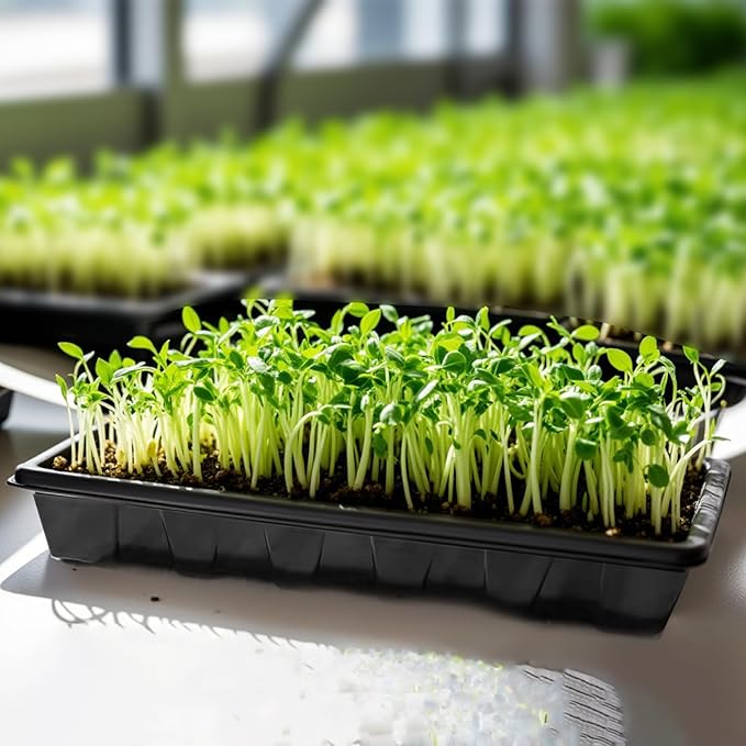 10Pack Seed Starting Trays, Strong Plastic Growing Plant Tray, Seed Tray, Seedling Trays for Greenhouse and Flowers, Wheatgrass, Sprouting