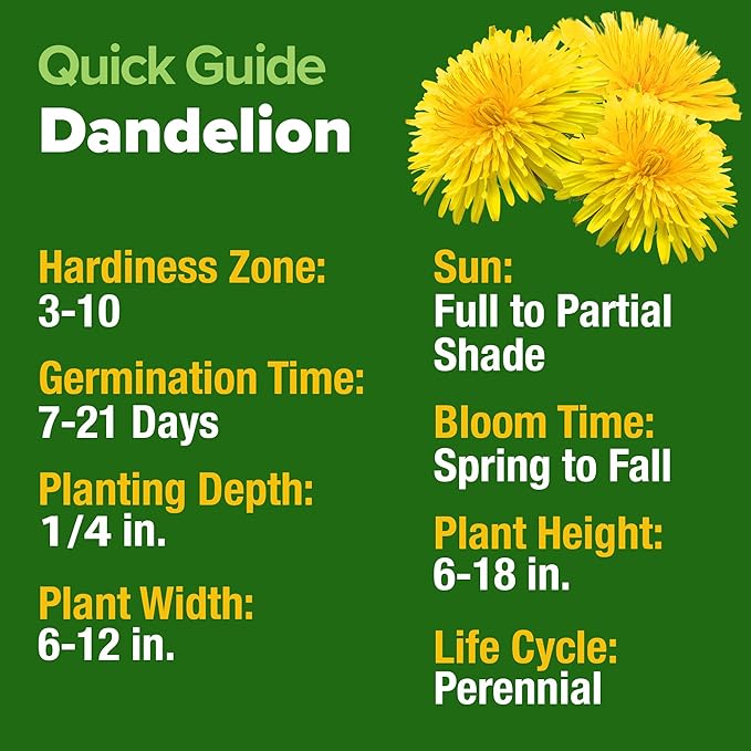 HOME GROWN Flower Seeds Giant (Dandelion, 1-Pack)