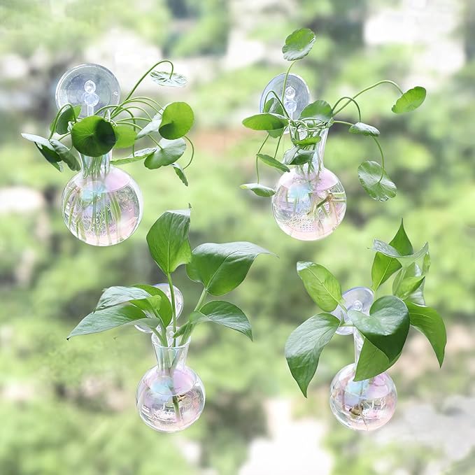 4 pcs Iridescent Window Propagation Stations, Easy to Install Plant Propagation Bulbs with Suckion Cups, No Nails Wall Hanging Planter Propagation Station, Glass Plant Terrarium Vase