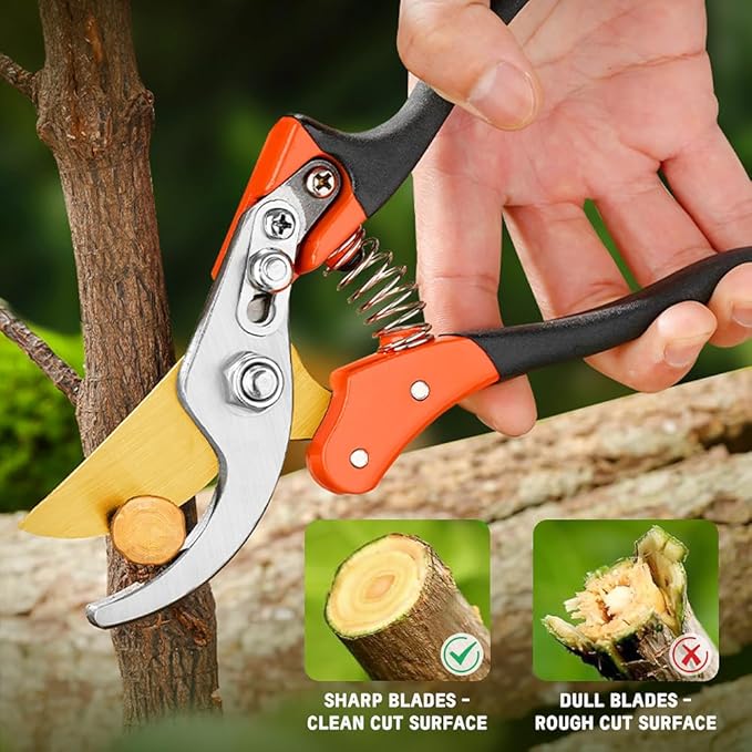 Garden Shears, Sharp Japanese SK5 Steel Blade Effortlessly Prunes 1/4" Branches, Hand Pruners Heavy Duty Professional Bypass, Garden Scissors & Flower Trimmers (golden)