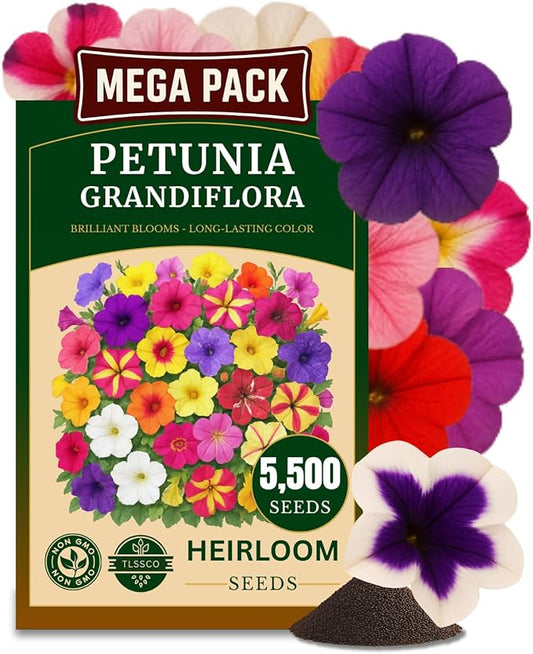 5500+ Petunia Seeds, Pack for 2026 USA Premium Non-GMO Flower Seeds Mixed Rainbow Color, Bonsai, Grandiflora Flowers, Pollinator Garden, Open Pollinated, Indoor and Outdoor
