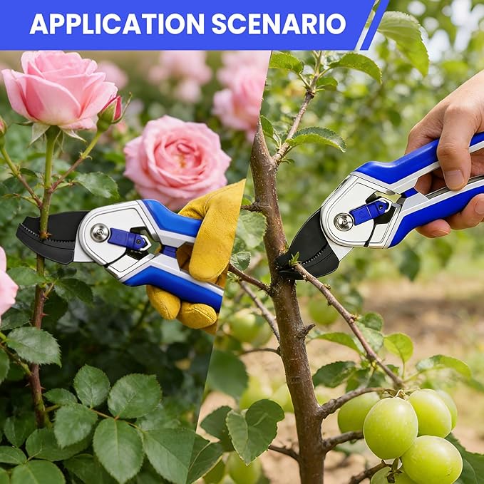 Garvee Professional Pruning Shears & Garden Shears Set | Stainless Steel Blades with Ergonomic Comfort Grip | Essential Gardening Tools for Women & Plant Care Enthusiasts