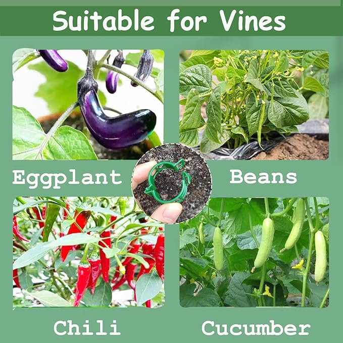 Plant Support Clips, Tomato Clips, Plastic Trellis Clips, 50 Pcs Grape Vine Tomato Vine Vegetables Plants Garden Support Clips to Grow Upright Makes Plants Healthier
