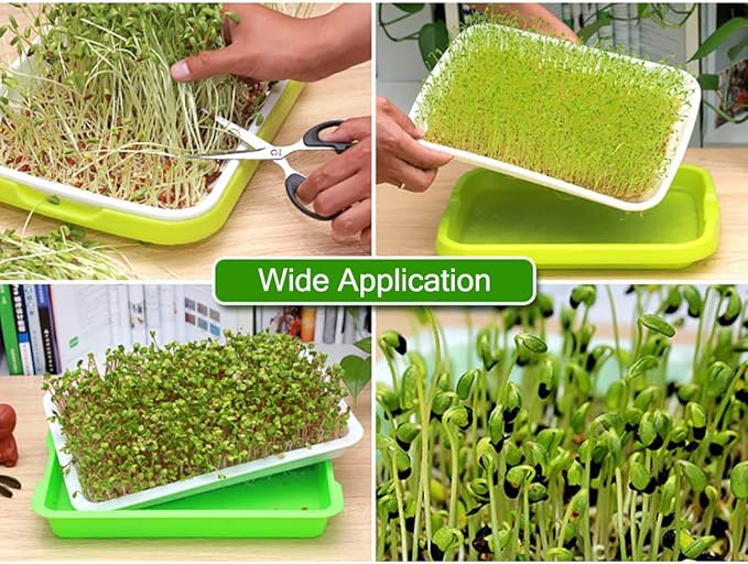 Seed Sprouter Germination Tray 5 Pack, BPA Free Nursery Healthy Wheatgrass Seeds Grower & Storage Trays for Garden Home Office