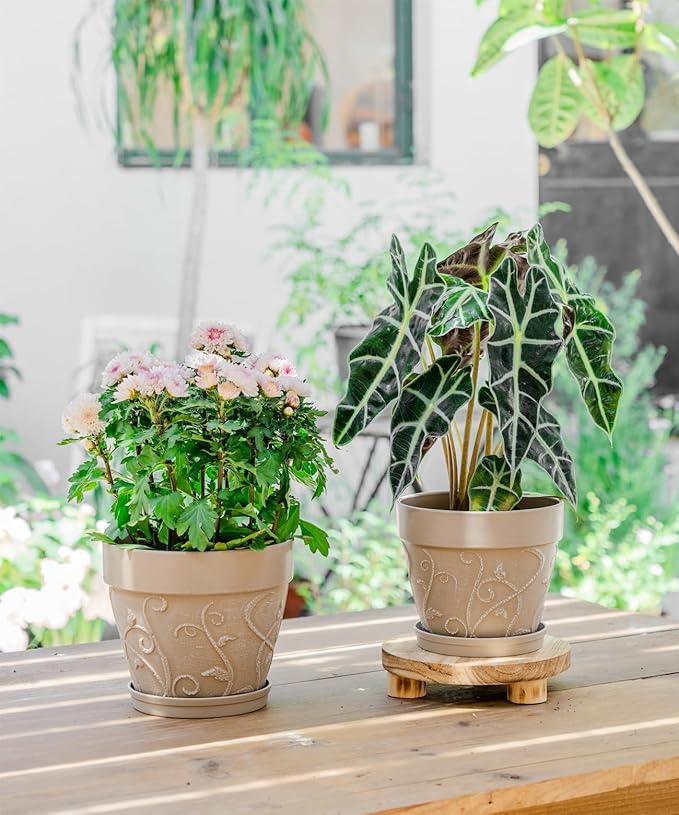 Melphoe Plant Pots Indoor with Drainage & Saucer, 2Pack 7/8 inch Flower Pots Outdoor Planters for Indoor Plants Garden Home Decor Cactus Succulent, Rigid Plastic (Imitation-Terracotta) Vine-Embossed