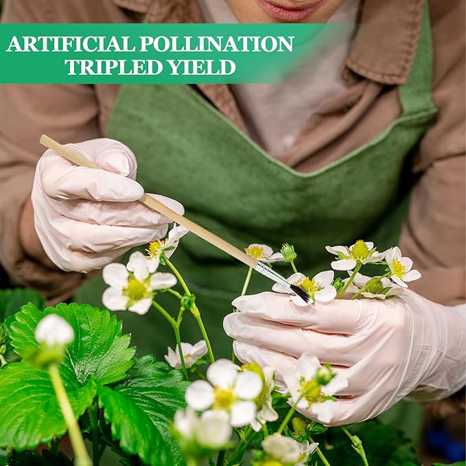 20 Pcs Pollination Brush, Pollinator Brushes Tool Set for Greenhouse Gardens Tomatoes, Peppers, Strawberries and More, Wood
