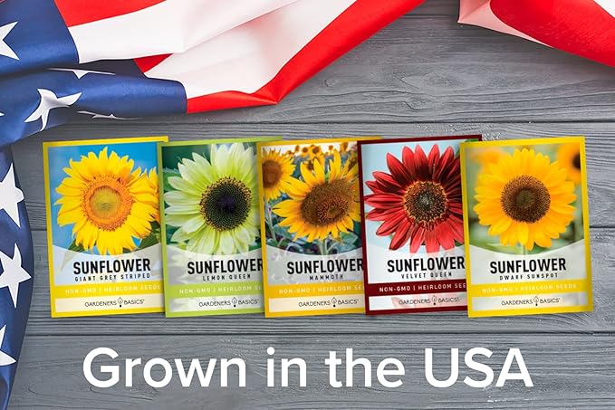 Sunflower Growing Kit – 5 Giant & Colorful Sunflowers Gifts for Women – Non-GMO Heirloom Seeds, Complete Indoor & Outdoor Sunflower Garden Grow Kit, Easy to Grow & Perfect for Pollinators