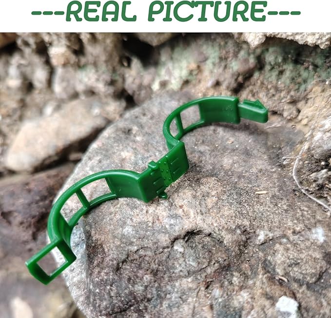 100pcs Plant Support Clips - Tomato Clips for String Trellis, Grape Vine Clips for Garden Netting Climbing Plants, Secured Plastic Plant Clip for Fixing Stem and Vine (100, Green)