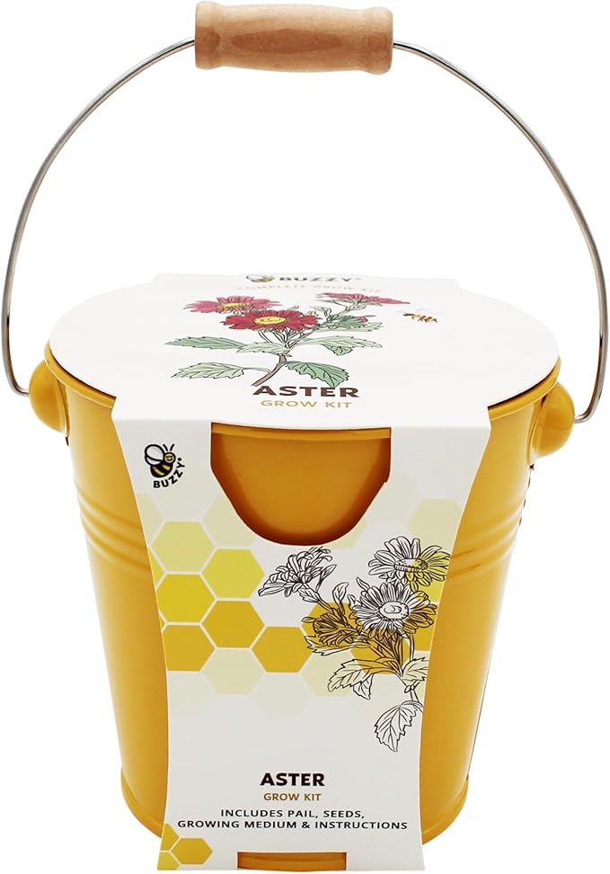 BUZZY Seeds Pollinator 2-Pack Grow Kit with Aster and Ox-Eye Sunflower Seeds, Growing Medium, and Decorative Yellow Pails, All-in-One Gardening Gift to Sprout Bee and Butterfly Friendly Blooms