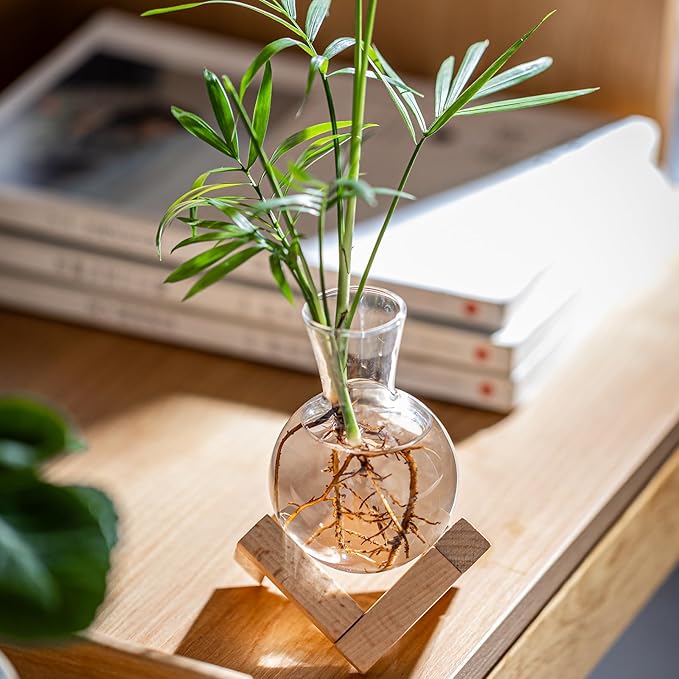 Propagation Stations, Propagation vases with Wooden Stand, Small Tabletop Glass Bulb Vases for Hydroponics Plant Propagation Station Home Office Decoration, Gift for Women Plant Lovers (9)