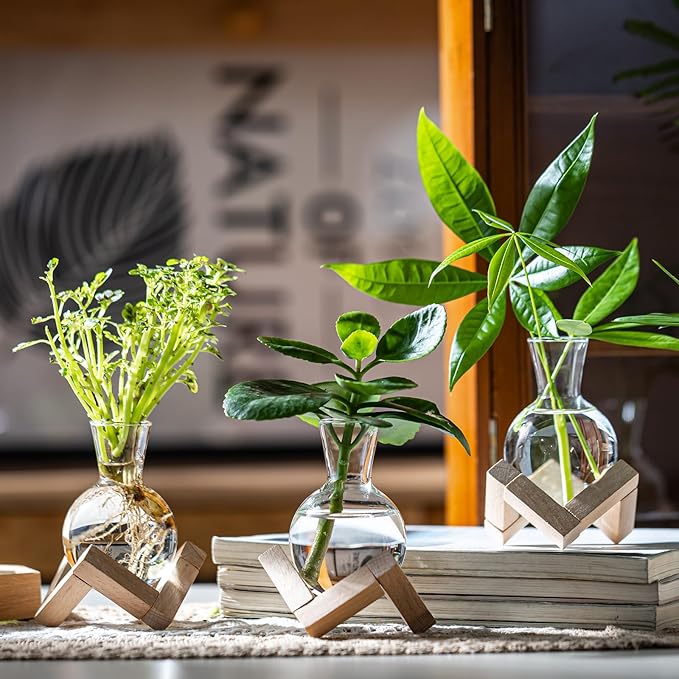 Propagation Stations, Propagation vases with Wooden Stand, Small Tabletop Glass Bulb Vases for Hydroponics Plant Propagation Station Home Office Decoration, Gift for Women Plant Lovers (9)