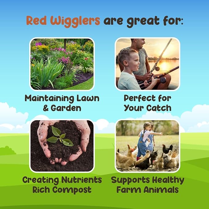 Red Wigglers Composting Worms - 1/4lb Red Worms for Composting - Use on Worm Castings for Plants, Garden, Worm Farm & Compost Starter, Easy to Manage