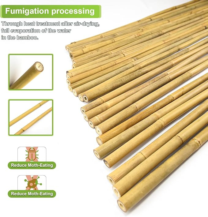 20pcs 5/8" D Thicker Heavy Duty Bamboo Stakes, 6FT Plant Stakes, Natural Garden Stakes for Tomato, Bean, Flowers,Trees Potted and Climbing Plant Support