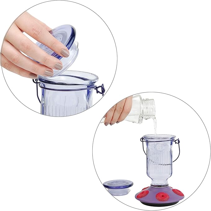 Perky-Pet 9101-2 Lavender Field Top-Fill Glass Hummingbird Feeder Purple 16 oz Capacity