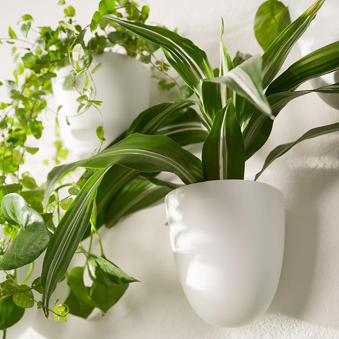 PlantPod Classic - Self-Watering Wall Planters (6, White) - Easy to Water and Install - Lightweight - Design Your Own Vertical Garden - Wall Planters for Indoor Plants