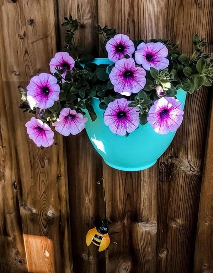 The HC Companies 8 Inch Garden Wall Planter - Plastic Hanging Plant Pot for Indoor Outdoor Flowers, Herbs, Teal