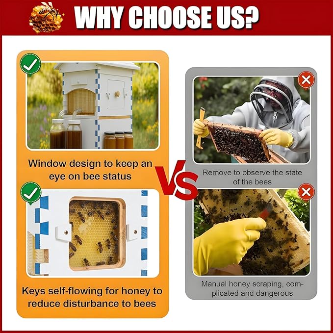 Bee Hive Box Starter Kit, Self-Flow Hive with 4 Beehive Frames & 6 Brood Frames, Complete Beekeeping Kit with Observation Window for Backyard & Garden Pollinators