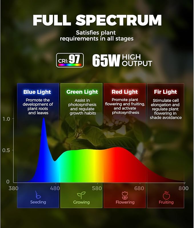 Barrina T1S Standing Grow Light for Indoor Plants with Timer, 65W 5000K High PPFD Full Spectrum, Tera Series Vertical Grow Lights Adjustable Height 5FT-5.6FT, Foot Switch, Non-Glare Design, Black
