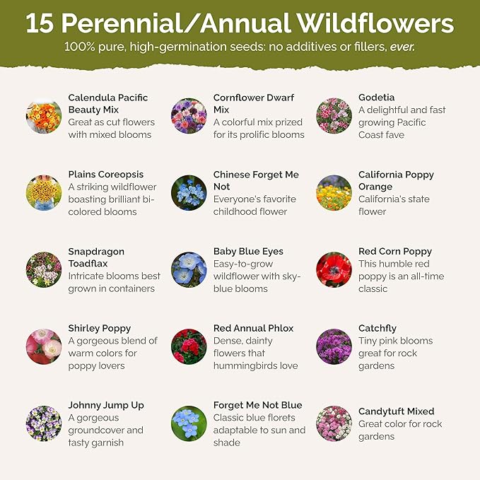 Eden Brothers Shorty Low Grow Wildflower Mixed Seeds for Planting, 5 lb, 2,400,000+ Seeds with Calendula, Cornflower | Attracts Pollinators, Plant in Spring or Fall, Zones 3, 4, 5, 6, 7, 8, 9, 10
