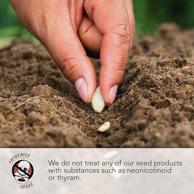 Seed Needs Pollinator Seed Mix Honey Bee Blend Wildflowers | Bulk 1 Ounce 12,500+ Heirloom Seeds 20 Pollinator Friendly Flower Varieties | Help Save the Bees Produces Colorful Blooms | Open Pollinated