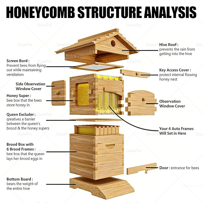 Wooden Beehive Starter Kit for Beginners, Self-Flowing Bee Hive with Mold Resistance, Easy Assembly Complete Set for Backyard Beekeepers & Garden Pollinators