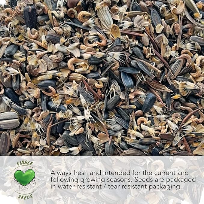 Seed Needs Pollinator Seed Mix Honey Bee Blend Wildflowers | Bulk 1 Ounce 12,500+ Heirloom Seeds 20 Pollinator Friendly Flower Varieties | Help Save the Bees Produces Colorful Blooms | Open Pollinated